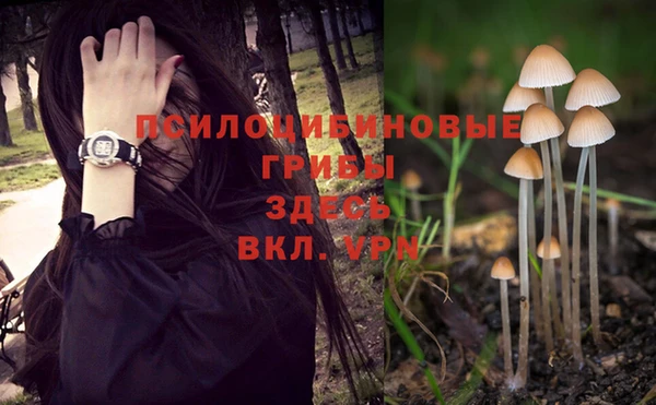 кокс Волоколамск